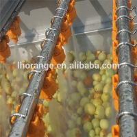 Automatic Ozone Vegetable Washing Machine Fruit and Vegetable Washer